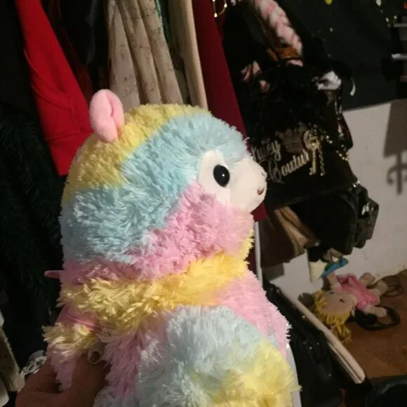 Rainbow Lama Bag - Picture 4 of 10